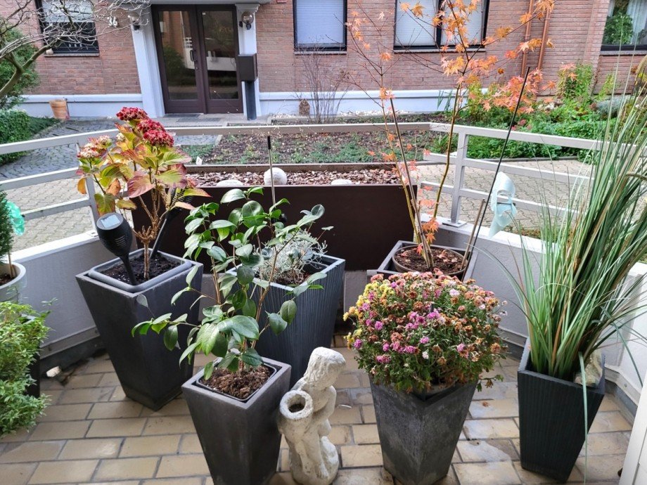 Loggia Ausblick Erdgeschosswohnung Grevenbroich