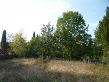 Ansicht INVESTOREN AUFGEPASST: SONNIGES BAUGRUNDST�CK IN ZENTRALER LAGE VON GREVENBROICH ZU VERKAUFEN...