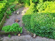 Gartenblick REIHENECKHAUS MIT KELLER, GARAGE UND KLEINEM GARTEN IN D�SSELDORF-HEERDT ZU VERKAUFEN...