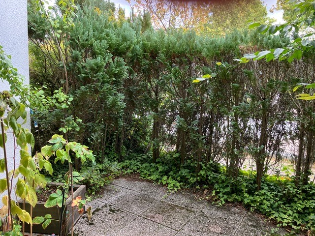 Terrasse vorne Erdgeschosswohnung Meerbusch/B�derich