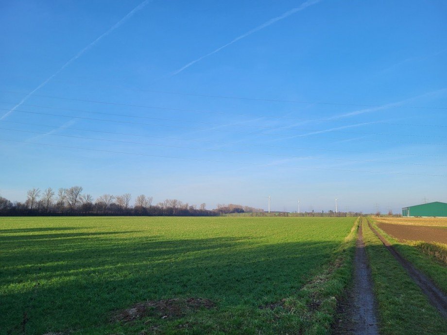 Ruhige Feldlage Zweifamilienhaus Rommerskirchen/Anstel