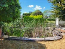Garten Ansicht 2 HAUS MIT EINLIEGER-APARTMENT, GARAGE, LAGER UND VIEL PLATZ IN MEERBUSCH-B�SINGHOVEN ZU VERKAUFEN...