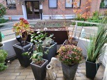 Loggia Ausblick VERMIETETE ERDGESCHOSS-WOHNUNG MIT TERRASSE UND TG-PLATZ IN GREVENBROICH-CITY ZU VERKAUFEN...